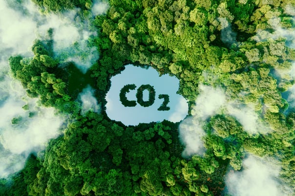 dwutlenek węgla - ESG